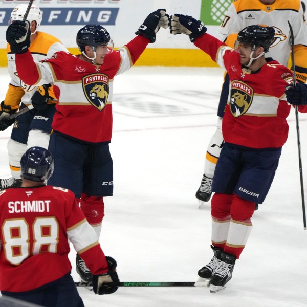 Florida Panthers left wing Tomas Nosek, left, celebrates with left wing A.J. Greer, right, after scoring a goal during the third period of an NHL hockey game against the Nashville Predators, Thursday, Nov. 7, 2024, in Sunrise, Fla. (AP Photo/Lynne Sladky)