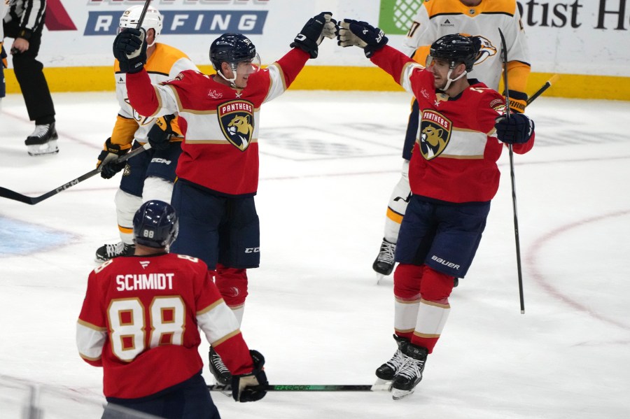 Florida Panthers left wing Tomas Nosek, left, celebrates with left wing A.J. Greer, right, after scoring a goal during the third period of an NHL hockey game against the Nashville Predators, Thursday, Nov. 7, 2024, in Sunrise, Fla. (AP Photo/Lynne Sladky)