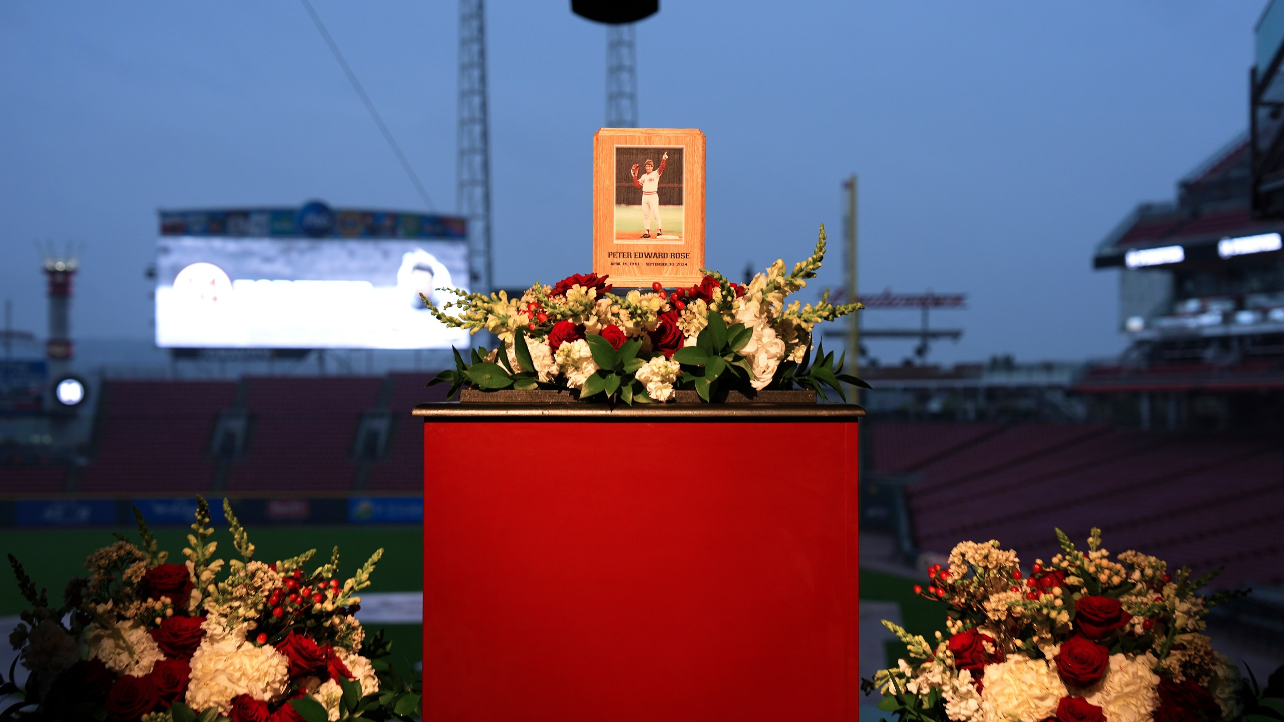 Baseball fans line up to pay their respects to Cincinnati Reds legend Pete Rose during a public visitation, Sunday, Nov. 10, 2024, at Great American Ball Park in Cincinnati. (AP Photo/Kareem Elgazzar)