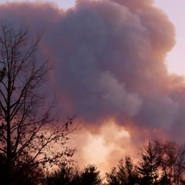 Smoke from a forest fire rises above the trees in Evesham, N.J. on Thursday, Nov. 7, 2024. (AP Photo/Wayne Parry)