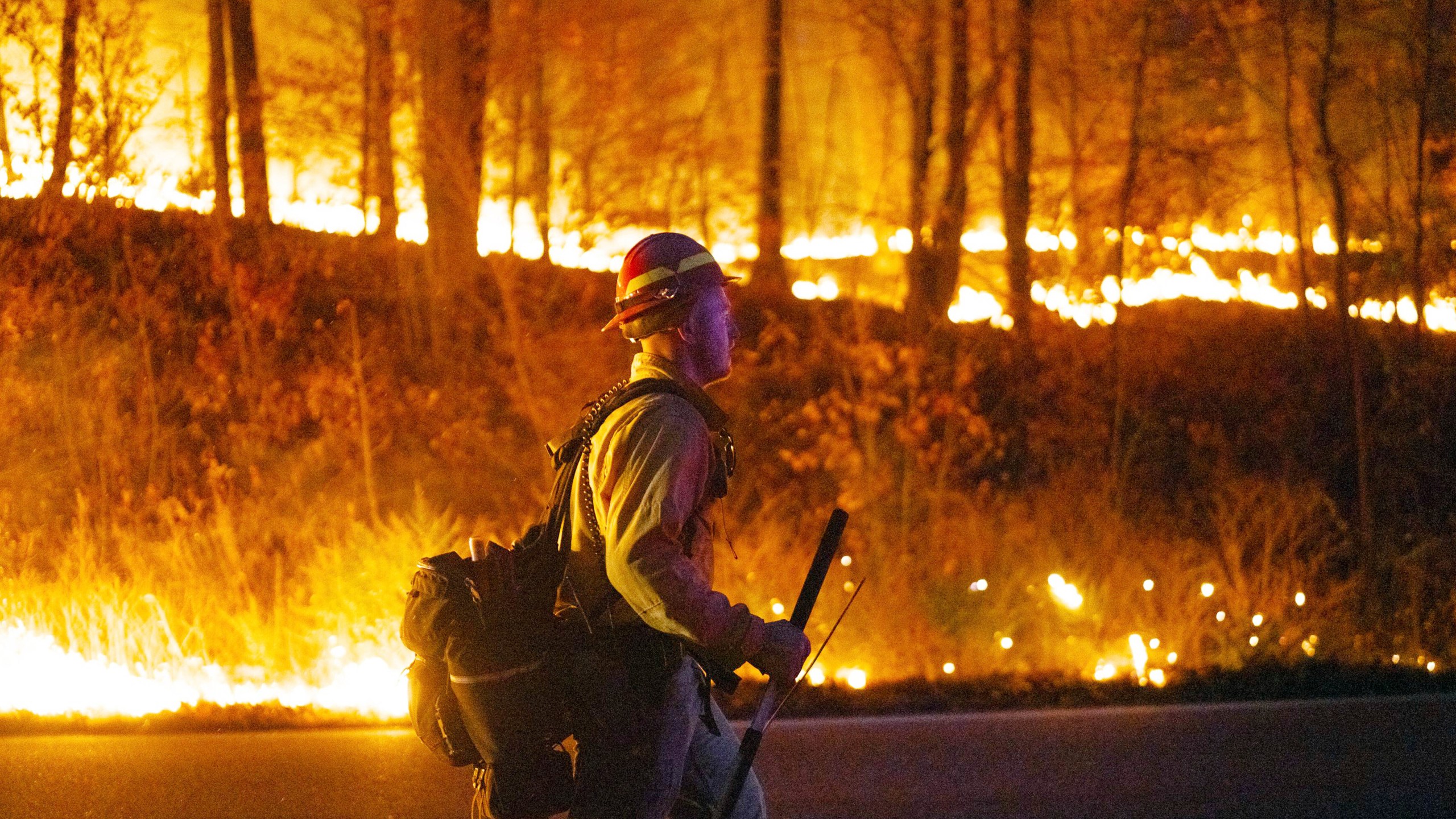 This image provided by New Jersey Department of Environmental Protection shows the wildfire in Jennings Creek, N.J., Saturday, Nov. 9, 2024. (New Jersey Department of Environmental Protection via AP)