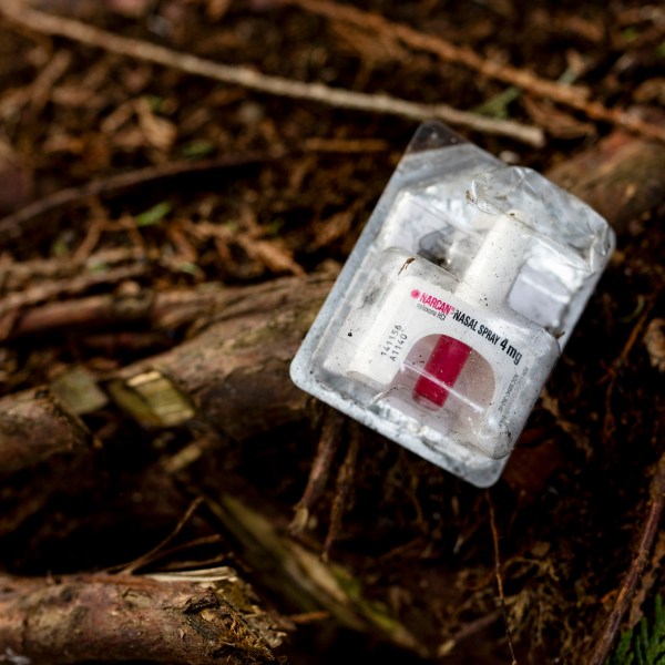 FILE - A container of Narcan, or naloxone, sits on tree roots at a longstanding homeless encampment in Bellingham, Wash., on Thursday, Feb. 8, 2024. (AP Photo/Lindsey Wasson, File)