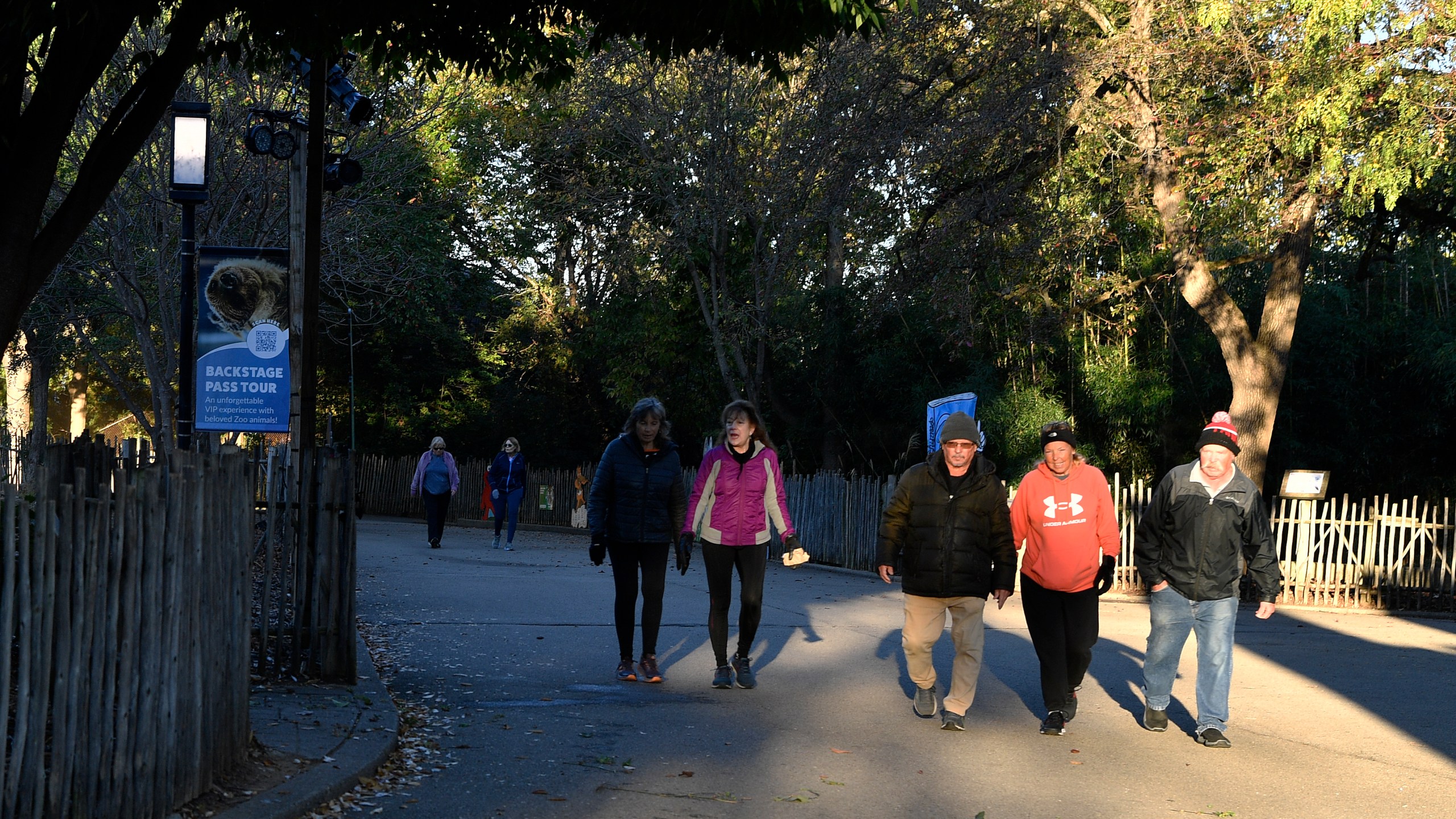 Members of the Get Healthy Walking Club walk the paths past the animal enclosures during the morning at the Louisville Zoo in Louisville, Ky., Friday, Oct. 18, 2024. (AP Photo/Timothy D. Easley)