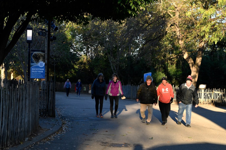 Members of the Get Healthy Walking Club walk the paths past the animal enclosures during the morning at the Louisville Zoo in Louisville, Ky., Friday, Oct. 18, 2024. (AP Photo/Timothy D. Easley)