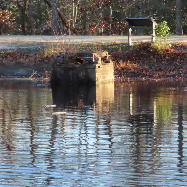 A spillway, designed to keep a pond in Allaire State Park in Wall, N.J., from overflowing under normal conditions, is exposed on Tuesday, Nov. 12, 2024, amid record-breaking dry conditions in New Jersey. (AP Photo/Wayne Parry)