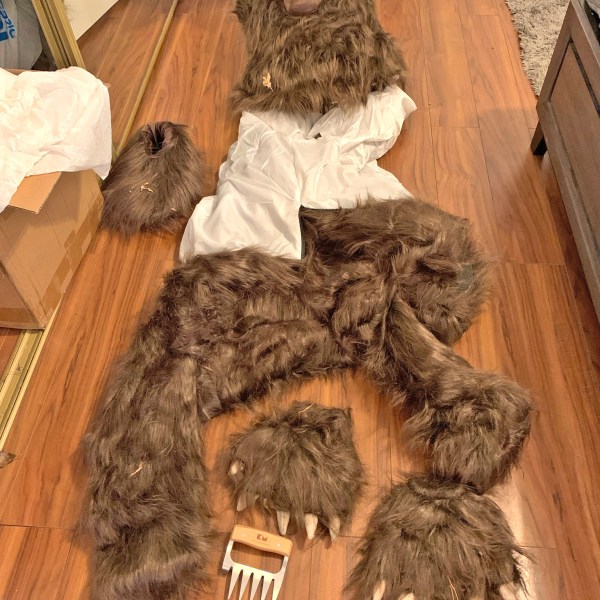 This photo provided by the California Department of Insurance shows a bear costume allegedly worn by suspects with the aim to commit insurance fraud. (California Department of Insurance via AP)