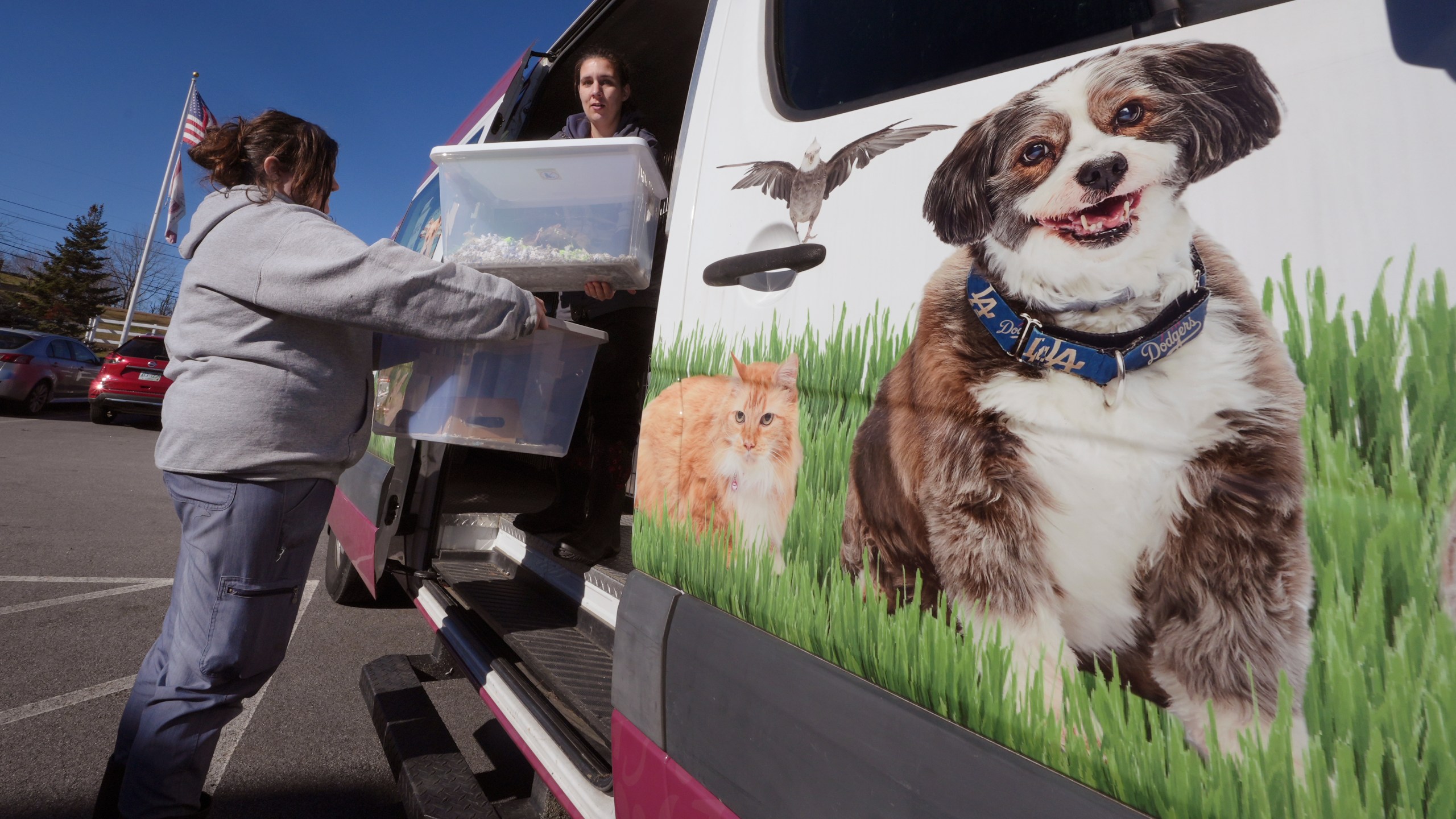 Erica Newton, left, and Emily Sullivan unload hundreds of fancy mice at the New Hampshire SPCA which were surrendered earlier in the day, Friday, Nov. 15, 2024, in Stratham, N.H. (AP Photo/Charles Krupa)