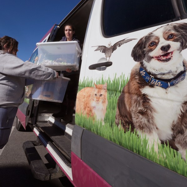 Erica Newton, left, and Emily Sullivan unload hundreds of fancy mice at the New Hampshire SPCA which were surrendered earlier in the day, Friday, Nov. 15, 2024, in Stratham, N.H. (AP Photo/Charles Krupa)