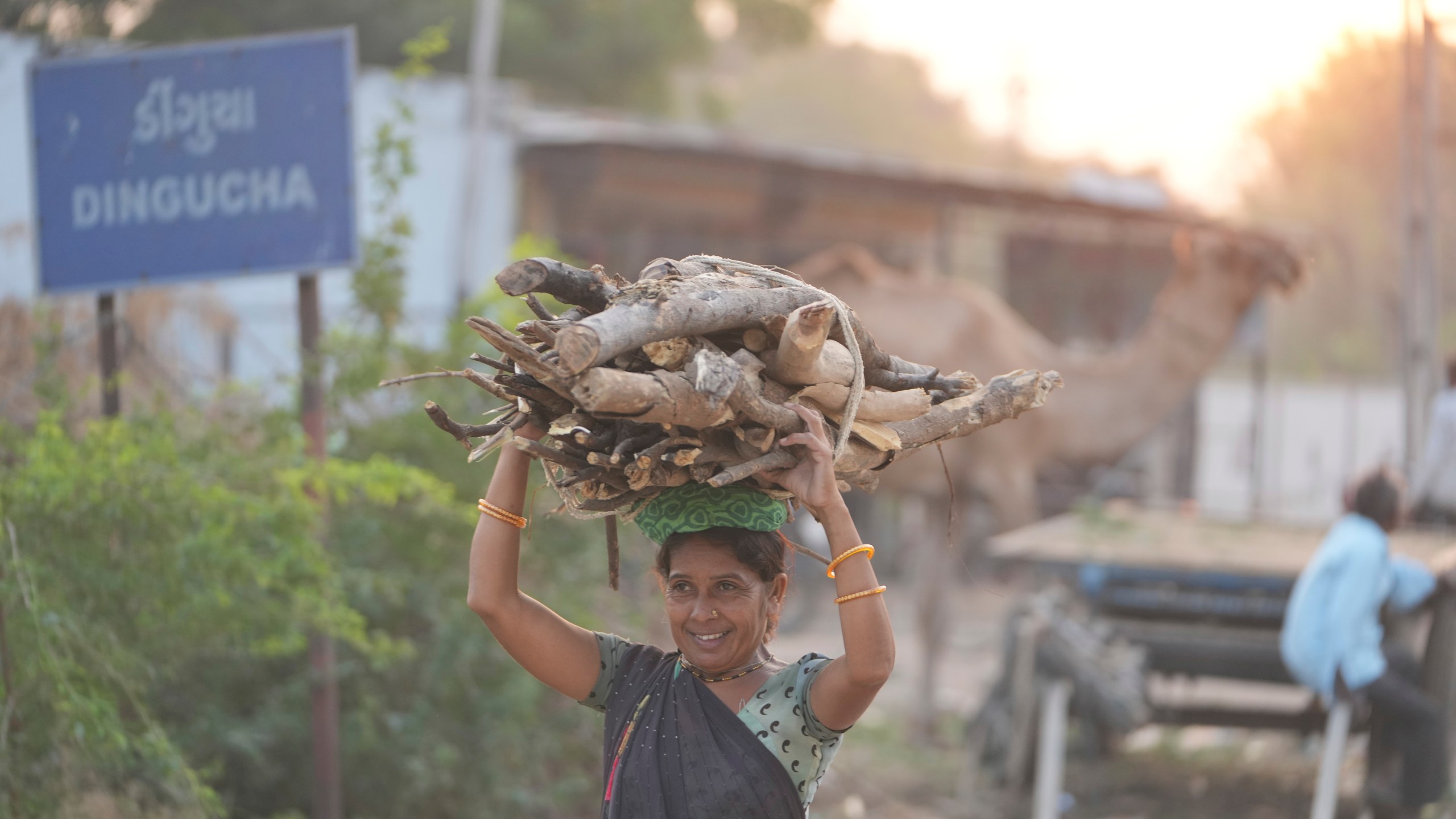 A woman carries firewood on her head at Dingucha village in Gandhinagar district of Gujarat state, India, Tuesday, Nov. 12, 2024. (AP Photo/Ajit Solanki)