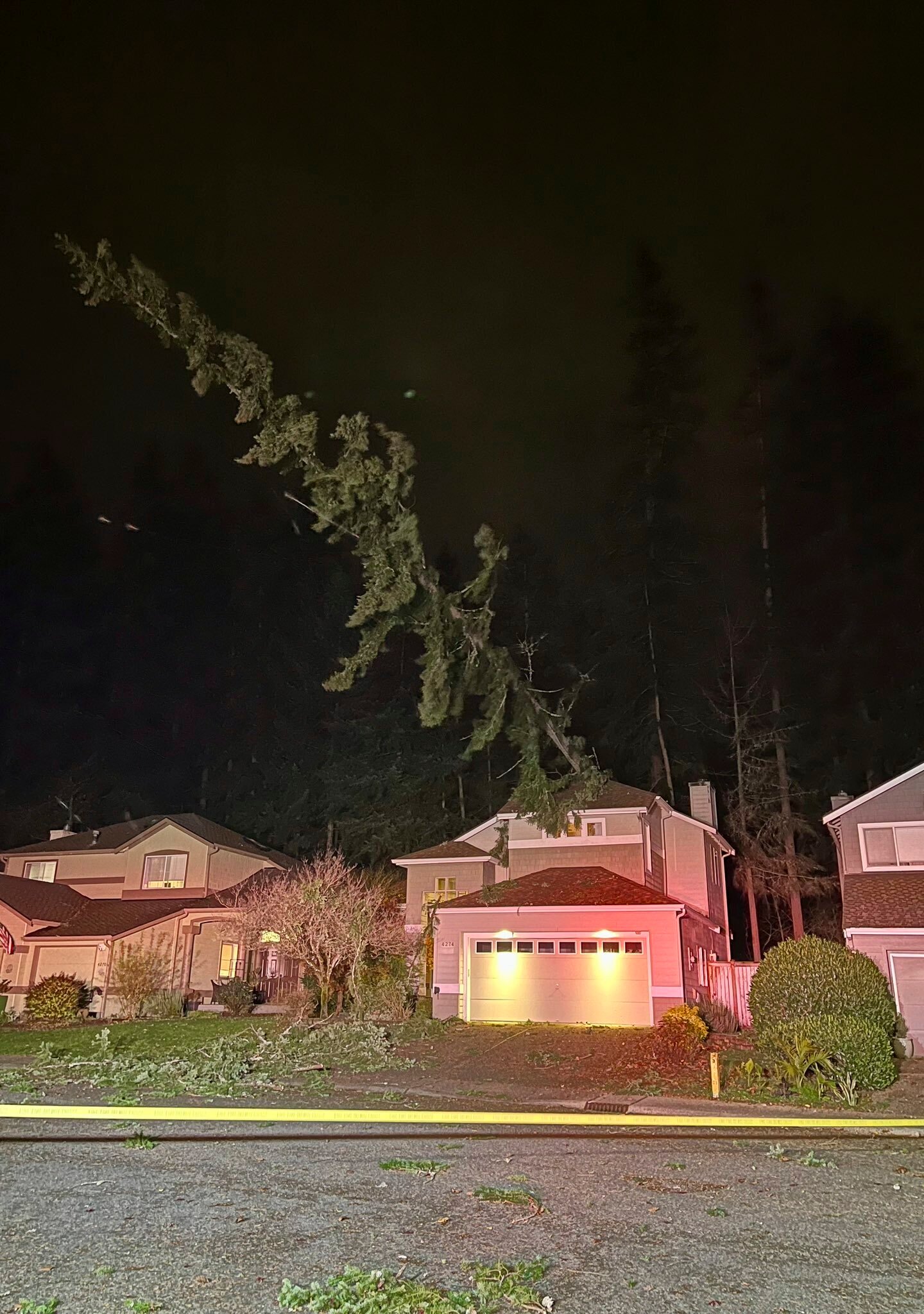 This photo released by Eastside Fire & Rescue shows a tree resting on the roof of a house during a major storm Tuesday, Nov. 19, 2024, in Issaquah, Wash. (Eastside Fire & Rescue via AP)