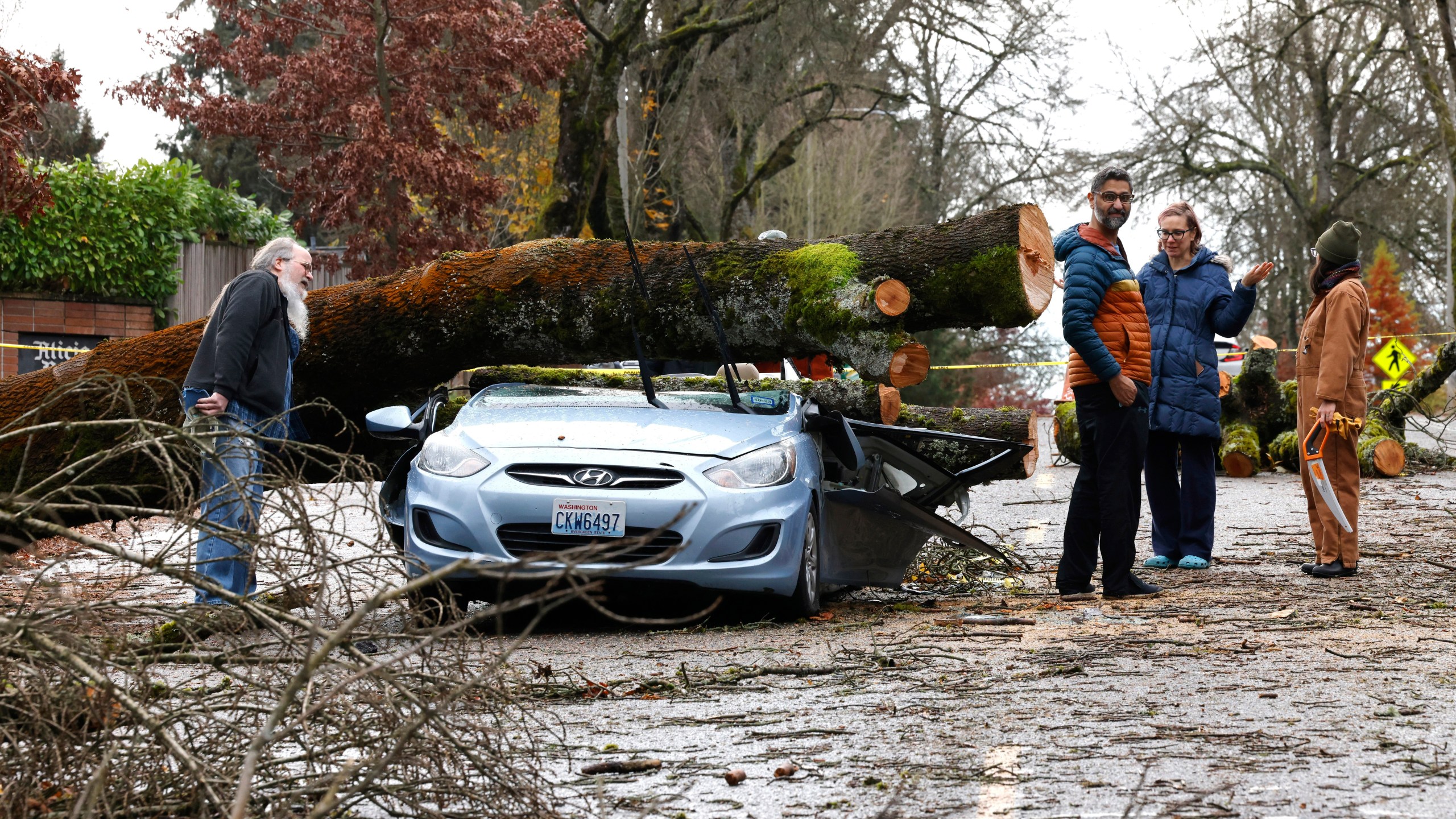 Neighbors look at the remains of small car that had a tree fall on it in the aftermath of a "bomb cyclone" on 35th Avenue Northeast after severe weather hit last night, in Seattle, Wednesday, Nov. 20, 2024. (Karen Ducey/The Seattle Times via AP)