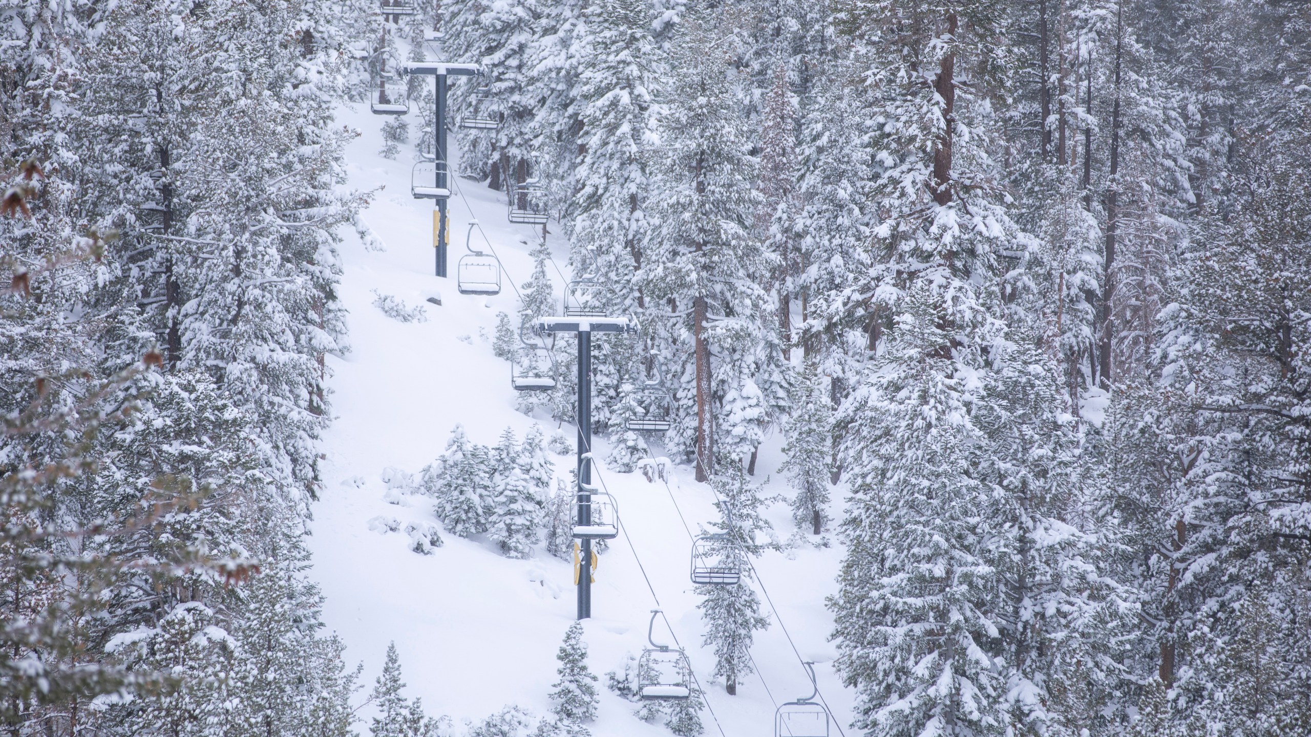 In this photo provided by Mammoth Mountain, snow covers a mountain side on Mammoth Mountain Saturday, Nov. 23, 2024, in Mammoth Lakes, Calif. (Samantha Lindberg/Visit Mammoth via AP)