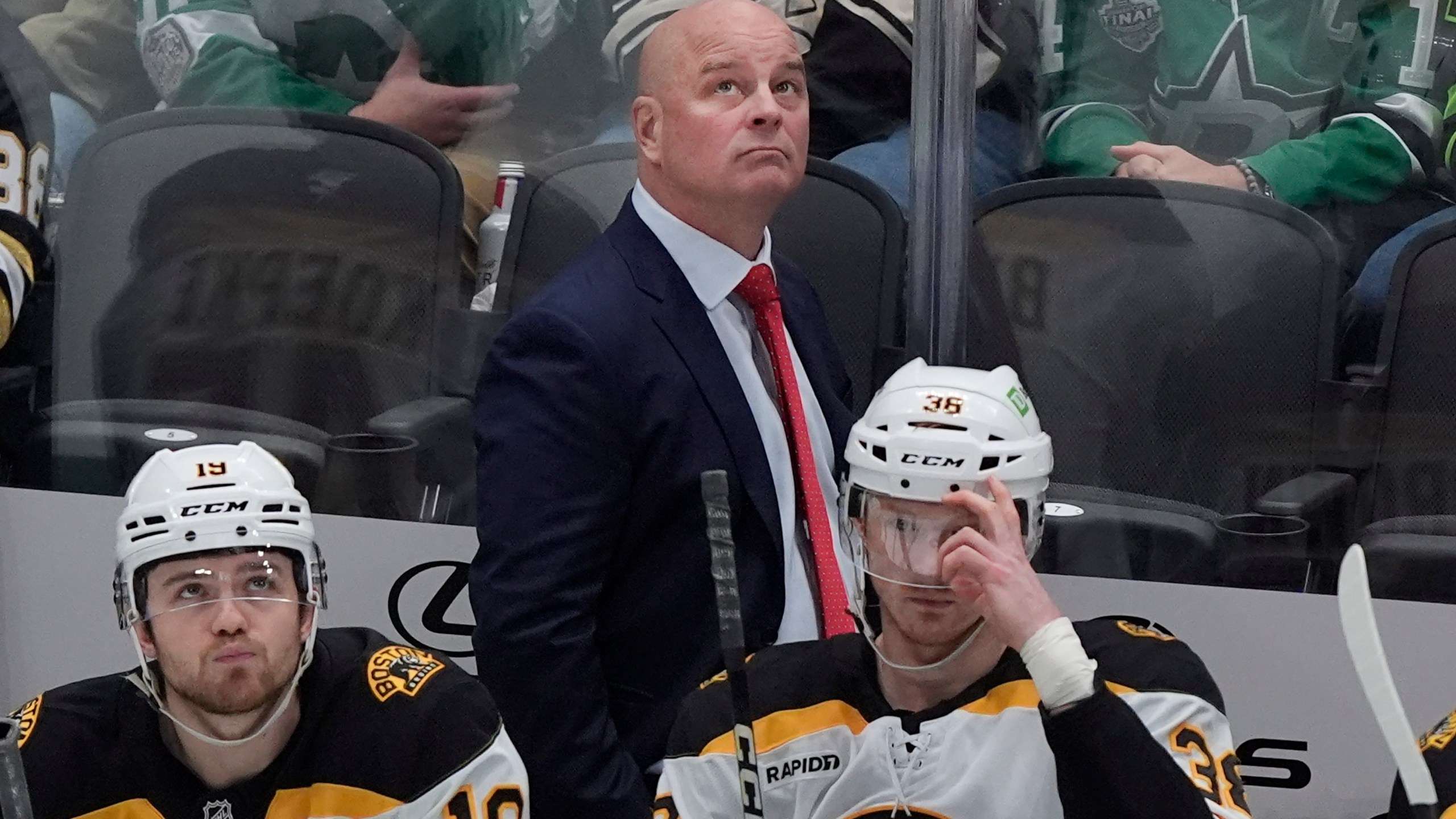 FILE - Boston Bruins head coach Jim Montgomery looks on from the bench with centers John Beecher (19) and Patrick Brown (38) during the first period of an NHL hockey game against the Dallas Stars, Nov. 14, 2024, in Dallas. (AP Photo/LM Otero, file)