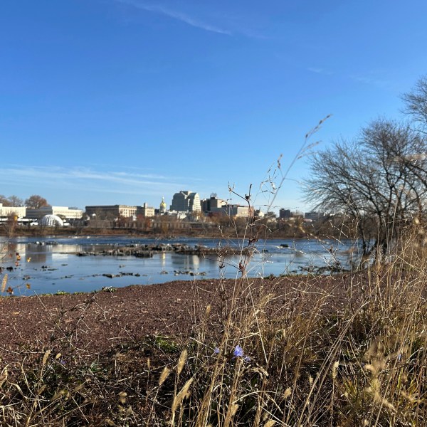 The Delaware River overlooking Trenton, N.J. flows downstream as seen from from Morrisville, Pa., on Monday, Nov. 25, 2024. (AP Photo/Mike Catalini)