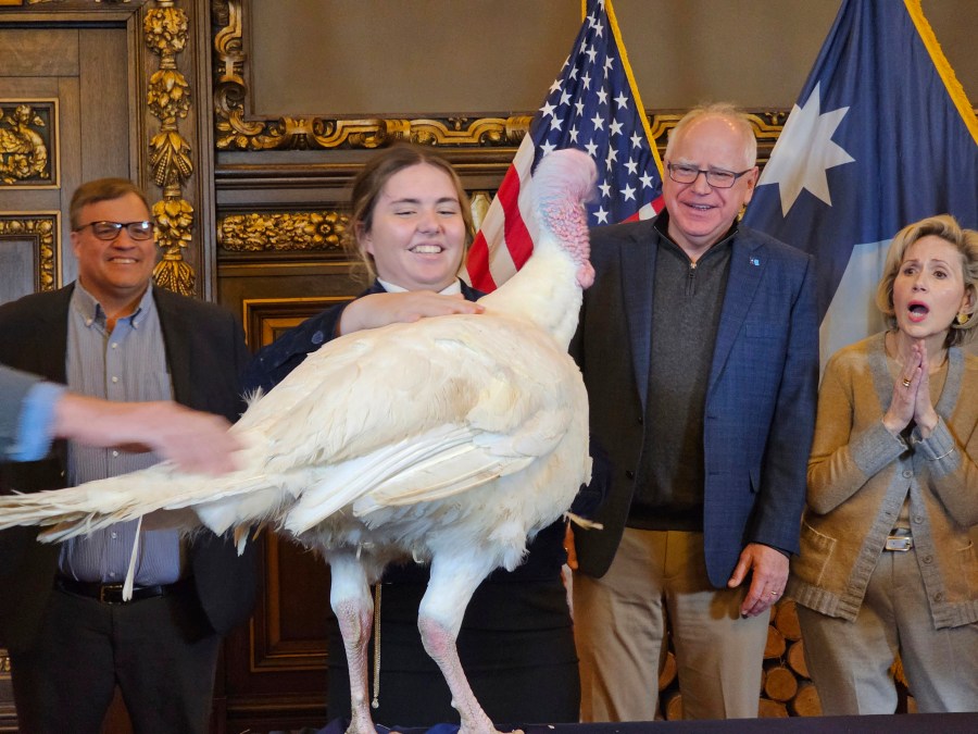 Gov. Tim Walz, second right, accepts the symbolic presentation of a turkey from Paisley VonBerge, a Future Farmers of America leader from Hutchinson, at the Minnesota State Capitol on Tuesday, Nov. 26, 2024, as state Agriculture Commissioner Thom Petersen and first lady Gwen Walz look on. (AP Photo/Steve Karnowski)