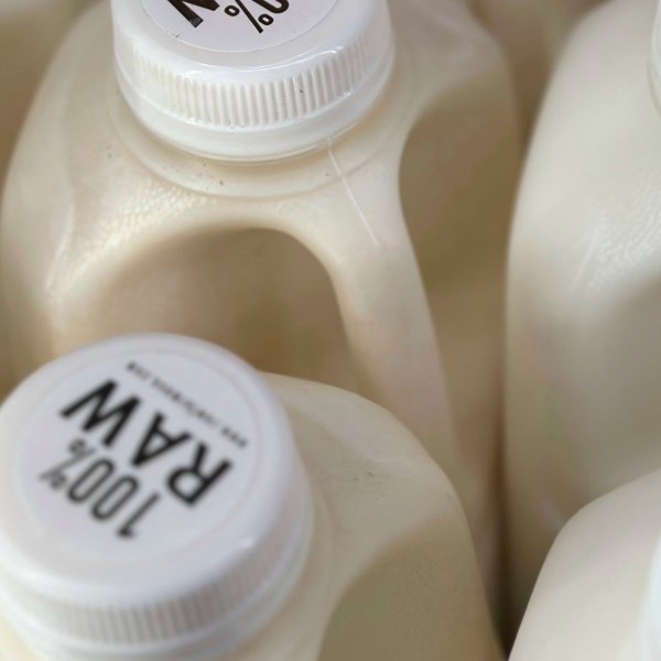 FILE - Bottles of raw milk are displayed for sale at a store in Temecula, Calif., on Wednesday, May 8, 2024. (AP Photo/JoNel Aleccia, file)