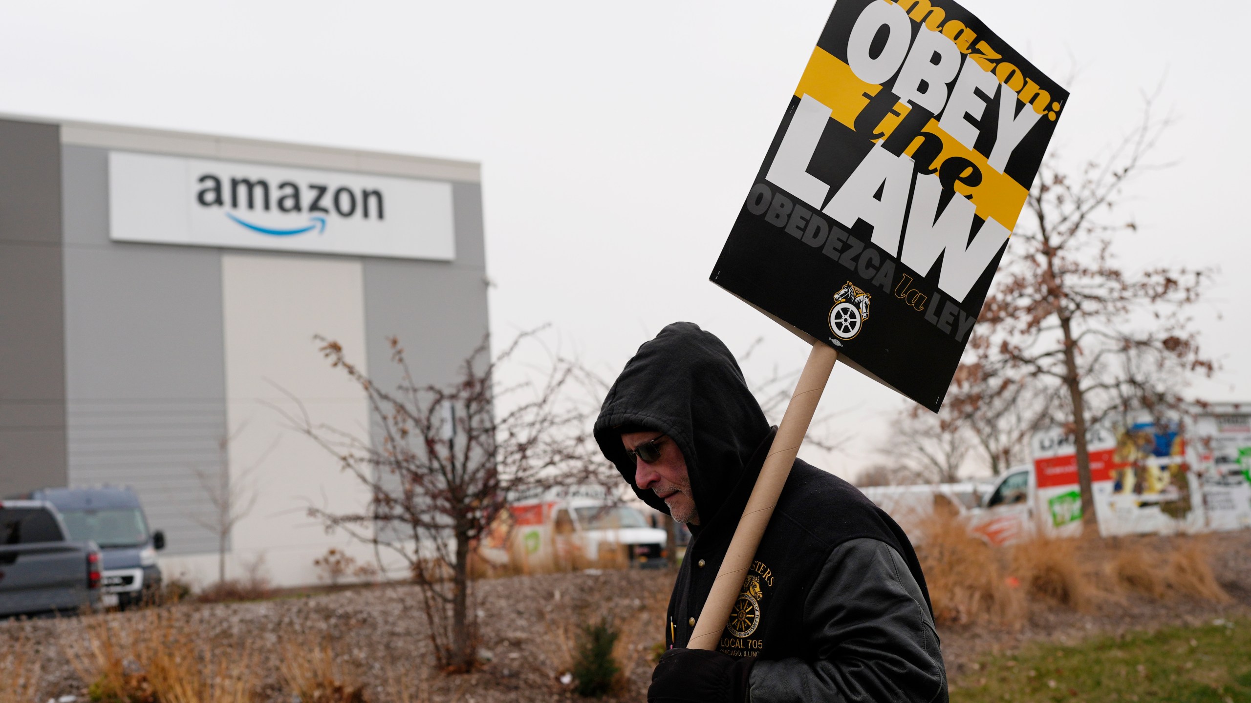 A striker holds a sign during a strike at Skokie (DIL7) Amazon Delivery station in Skokie, Ill., Thursday, Dec. 19, 2024. (AP Photo/Nam Y. Huh)