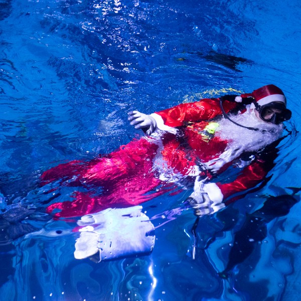 Diver Felipe Luna, dressed in a Santa Claus suit, swims inside a tank at the AquaRio Marine Aquarium as part of an annual Christmas tradition, in Rio de Janeiro, Saturday, Dec. 21, 2024. (AP Photo/ Bruna Prado)