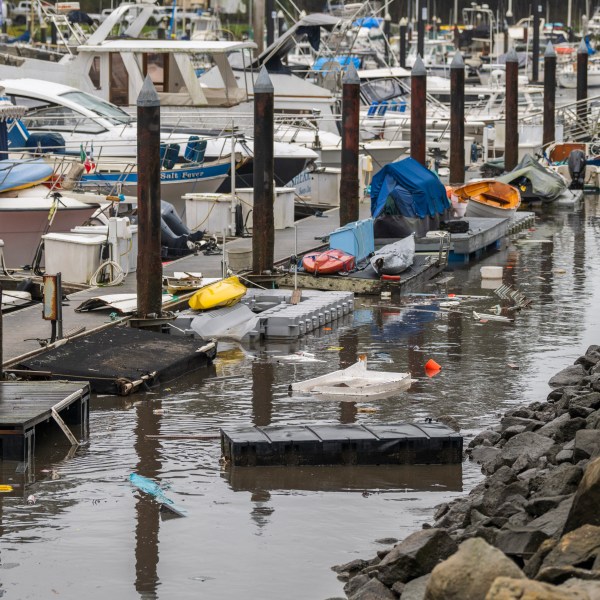 Trash and damaged boat parts float through Santa Cruz Harbor in Santa Cruz, Calif., Tuesday, Dec. 24, 2024. (AP Photo/Nic Coury)