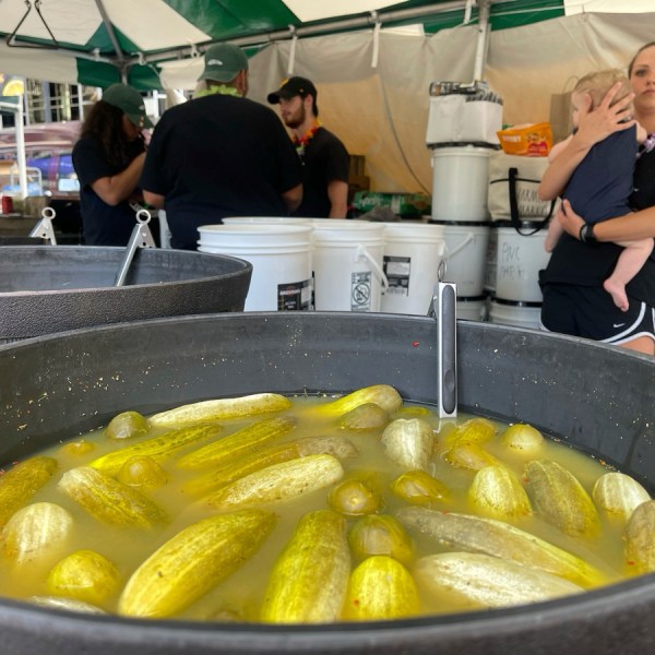 Sour pickles sit in a bucket of brine at a stall at Picklesburgh, Pittsburgh, Pa., Thursday, July 18, 2024. The festival, held just off the city's Market Square each year, brings pickle lovers and permutations of pickles together. (AP Photo/Ted Anthony)