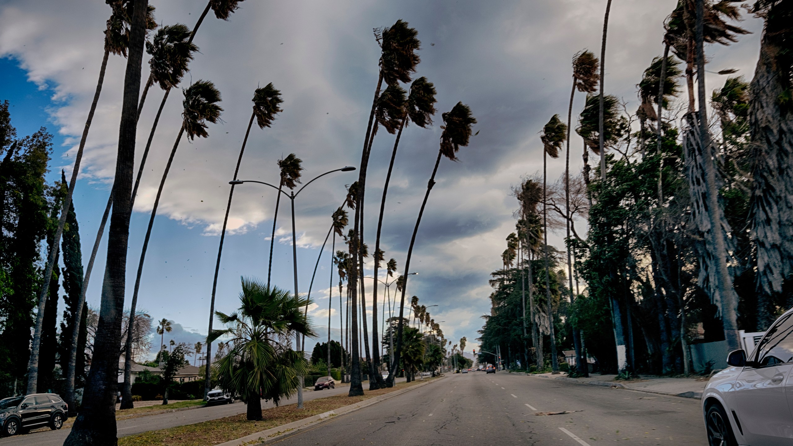 Tall palm trees sway during extreme gusty winds in the Van Nuys section of Los Angeles on Tuesday, Jan. 7, 2025. (AP Photo/Richard Vogel)