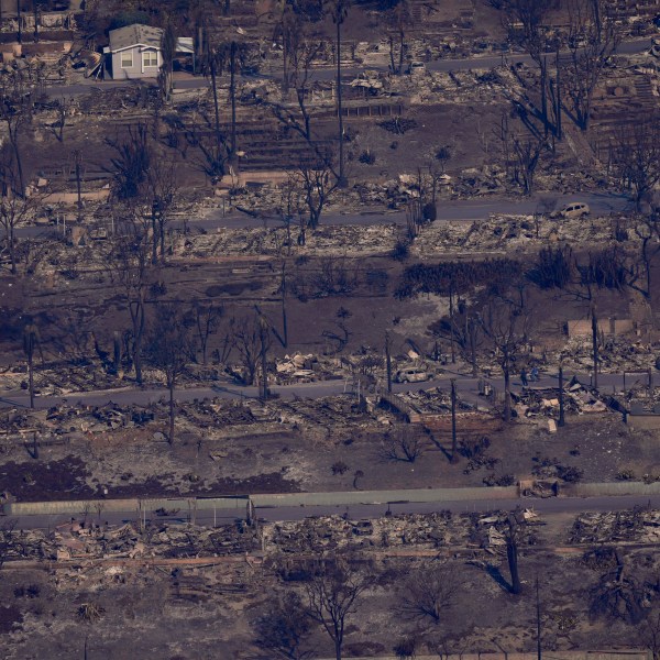 The devastation from the Palisades Fire is seen from the air in the Pacific Palisades neighborhood of Los Angeles, Thursday, Jan. 9, 2025. (AP Photo/Mark J. Terrill)