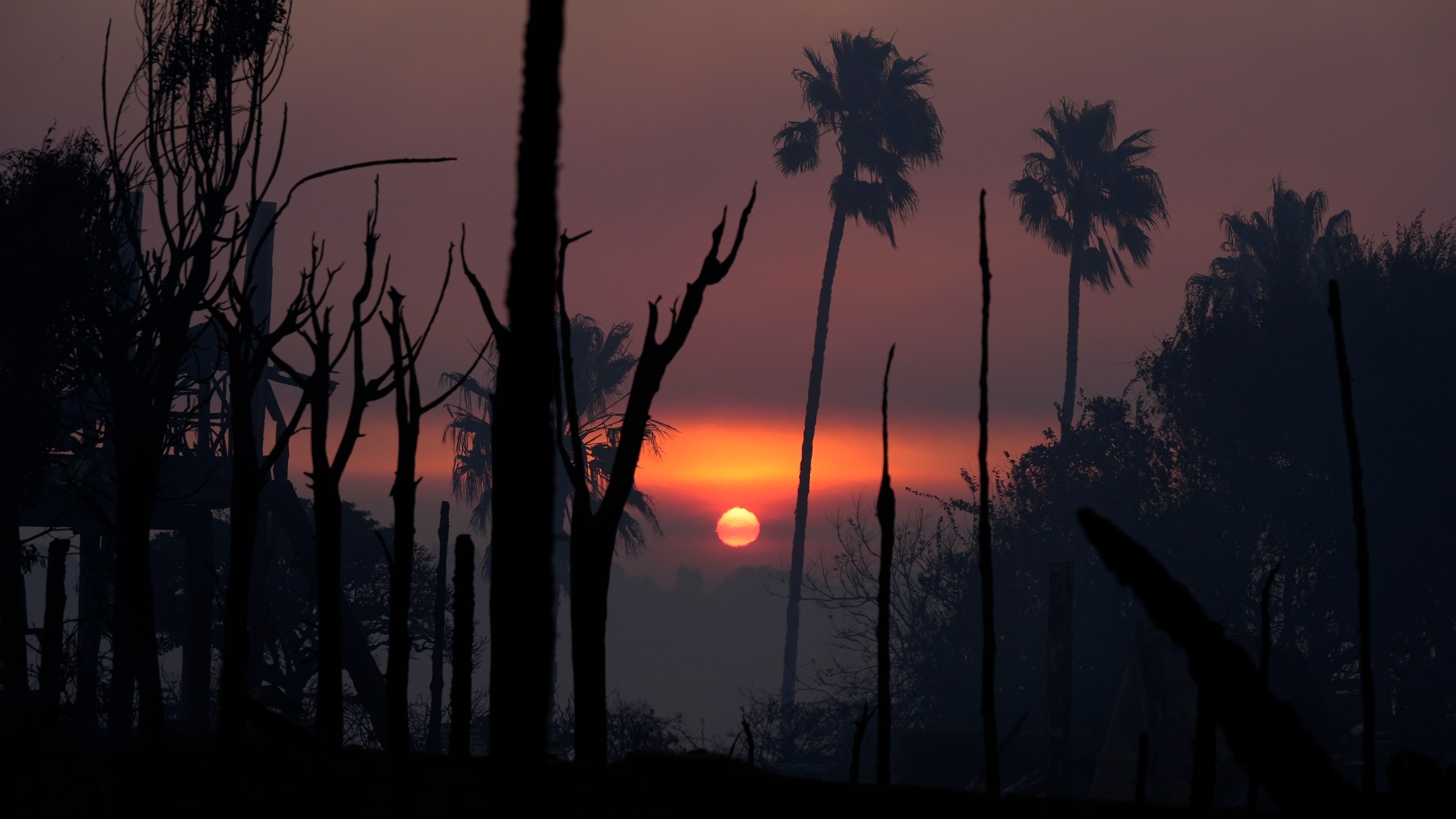 The sun rises as the Palisades Fire ravagee a neighborhood amid high winds in the Pacific Palisades neighborhood of Los Angeles, Thursday, Jan. 9, 2025. (AP Photo/Damian Dovarganes)