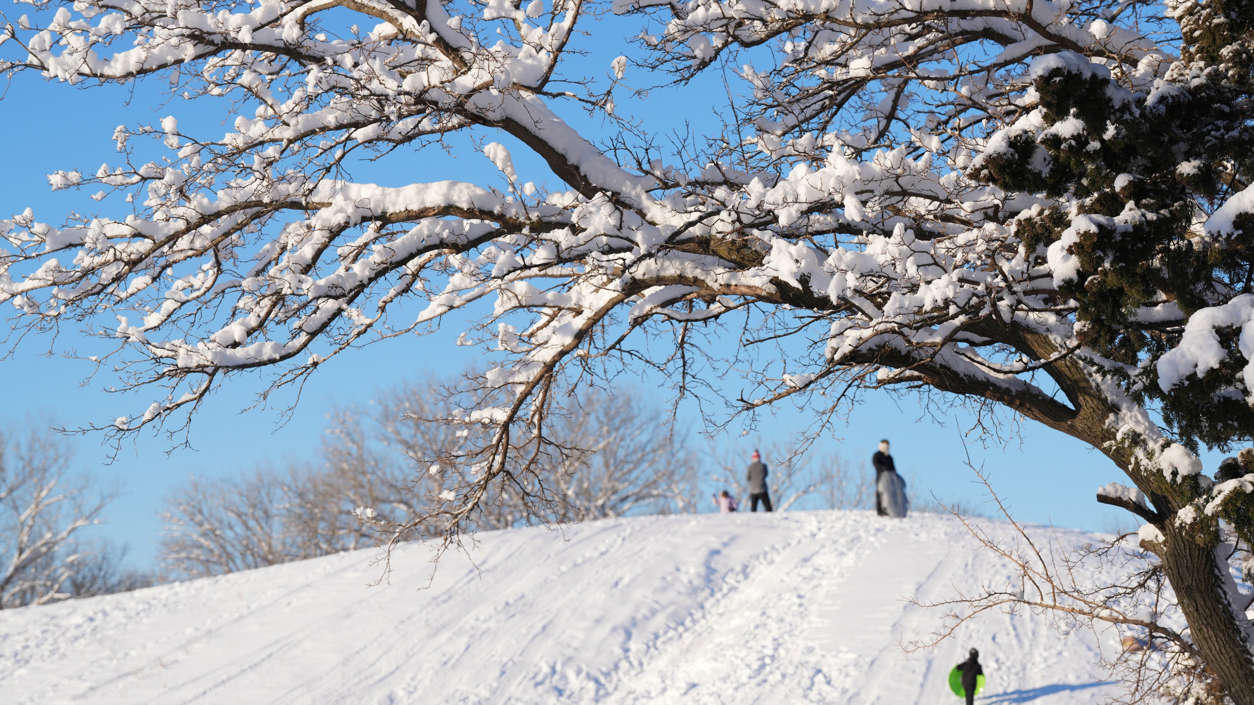 Early morning sledders enjoy the hill at Sedgwick County Park in Wichita, Kan. on Friday, Jan. 10, 2025. (Jaime Green/The Wichita Eagle via AP)