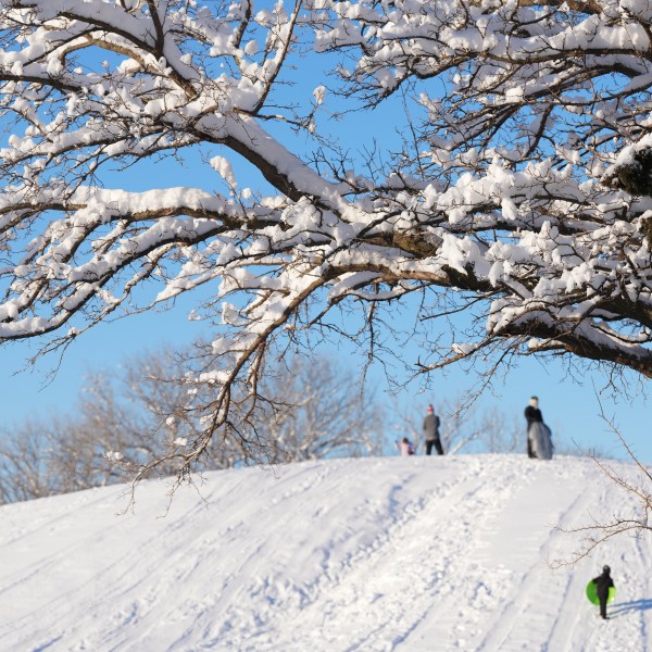 Early morning sledders enjoy the hill at Sedgwick County Park in Wichita, Kan. on Friday, Jan. 10, 2025. (Jaime Green/The Wichita Eagle via AP)