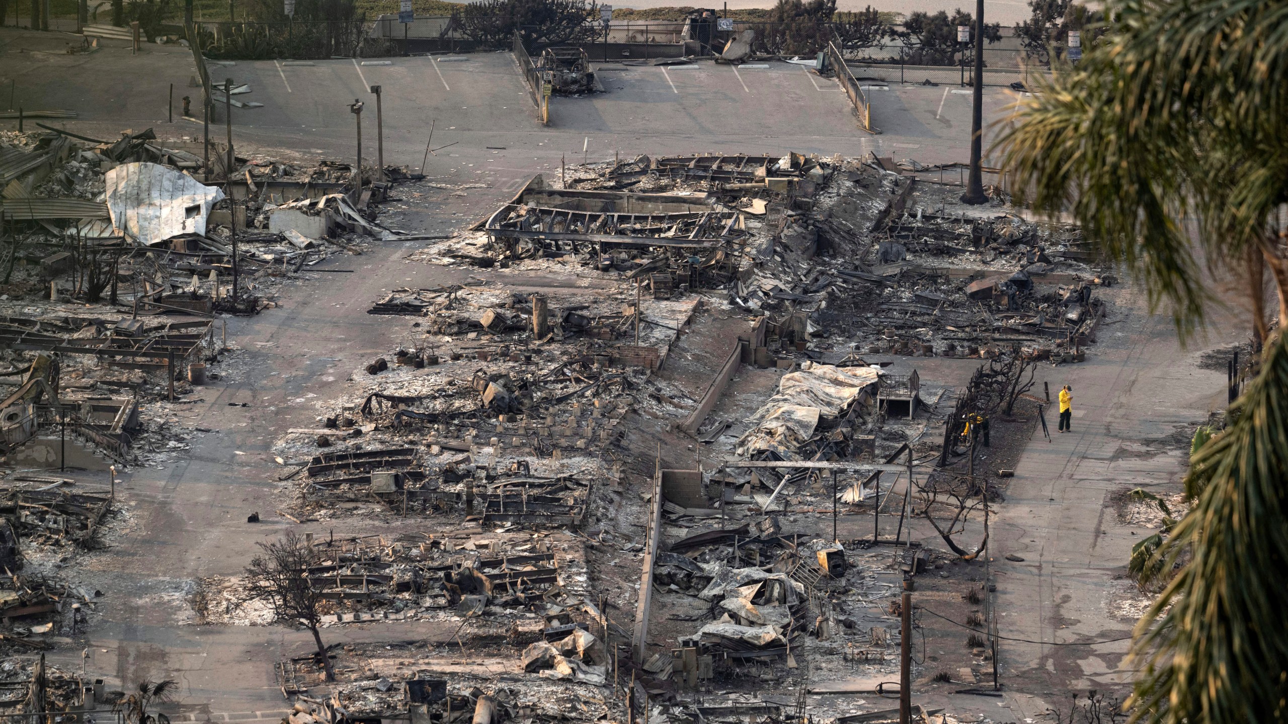 Homes destroyed by the Palisades Fire are seen Saturday, Jan. 11, 2025, in the Pacific Palisades neighborhood of Los Angeles. (Mindy Schauer/The Orange County Register via AP)