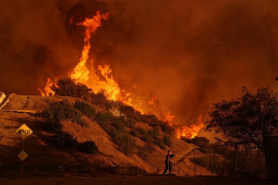 A firefighter battles the Palisades Fire in Mandeville Canyon on Saturday, Jan. 11, 2025, in Los Angeles. (AP Photo/Jae C. Hong)