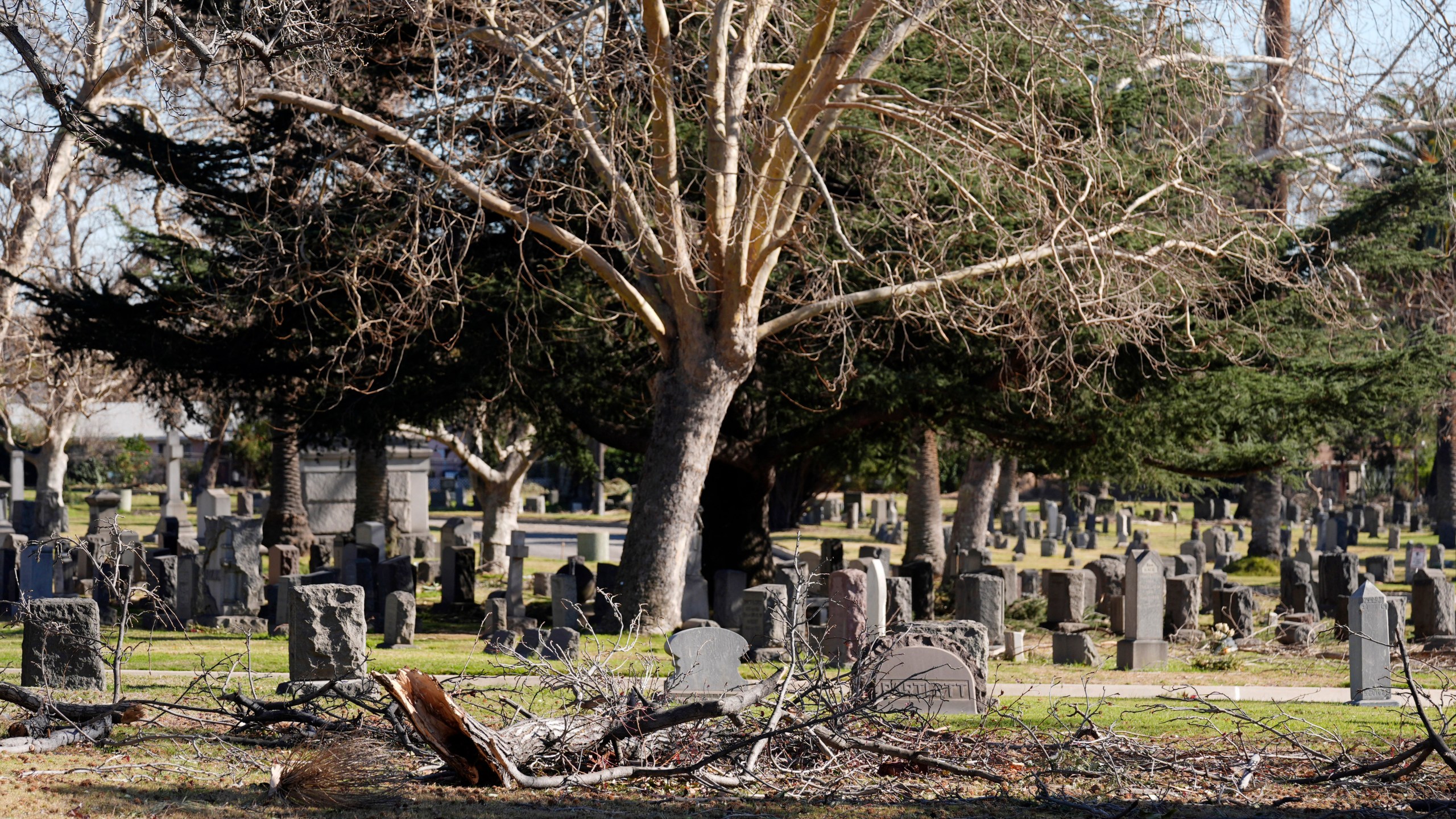 Downed branches lie near graves at Mountain View Cemetery after the Eaton Fire, Tuesday, Jan. 14, 2025, in Altadena, Calif. (AP Photo/Chris Pizzello)