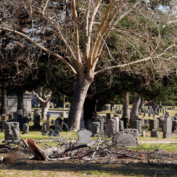 Downed branches lie near graves at Mountain View Cemetery after the Eaton Fire, Tuesday, Jan. 14, 2025, in Altadena, Calif. (AP Photo/Chris Pizzello)