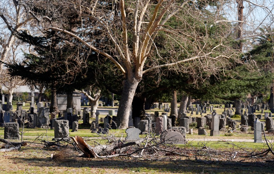 Downed branches lie near graves at Mountain View Cemetery after the Eaton Fire, Tuesday, Jan. 14, 2025, in Altadena, Calif. (AP Photo/Chris Pizzello)