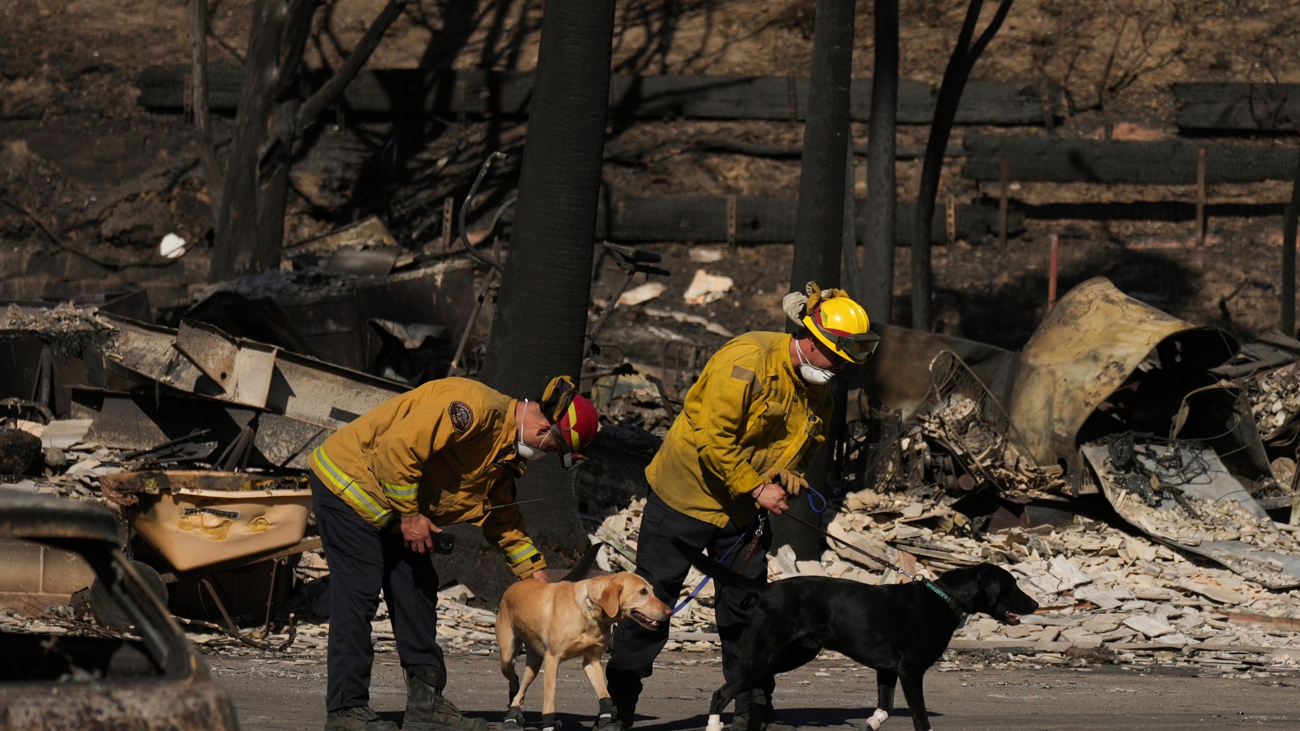 Search and rescue crew inspect a mobile home park destroyed by the Palisades Fire in Palisades, Calif. is seen, Wednesday, Jan. 15, 2025. (AP Photo/Jae C. Hong)