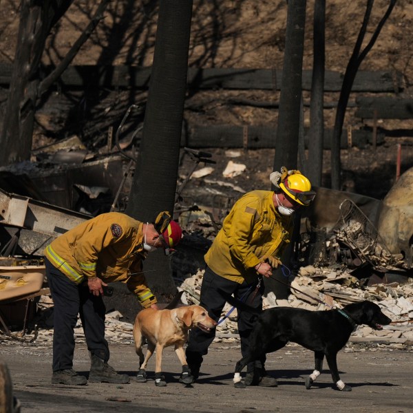 Search and rescue crew inspect a mobile home park destroyed by the Palisades Fire in Palisades, Calif. is seen, Wednesday, Jan. 15, 2025. (AP Photo/Jae C. Hong)