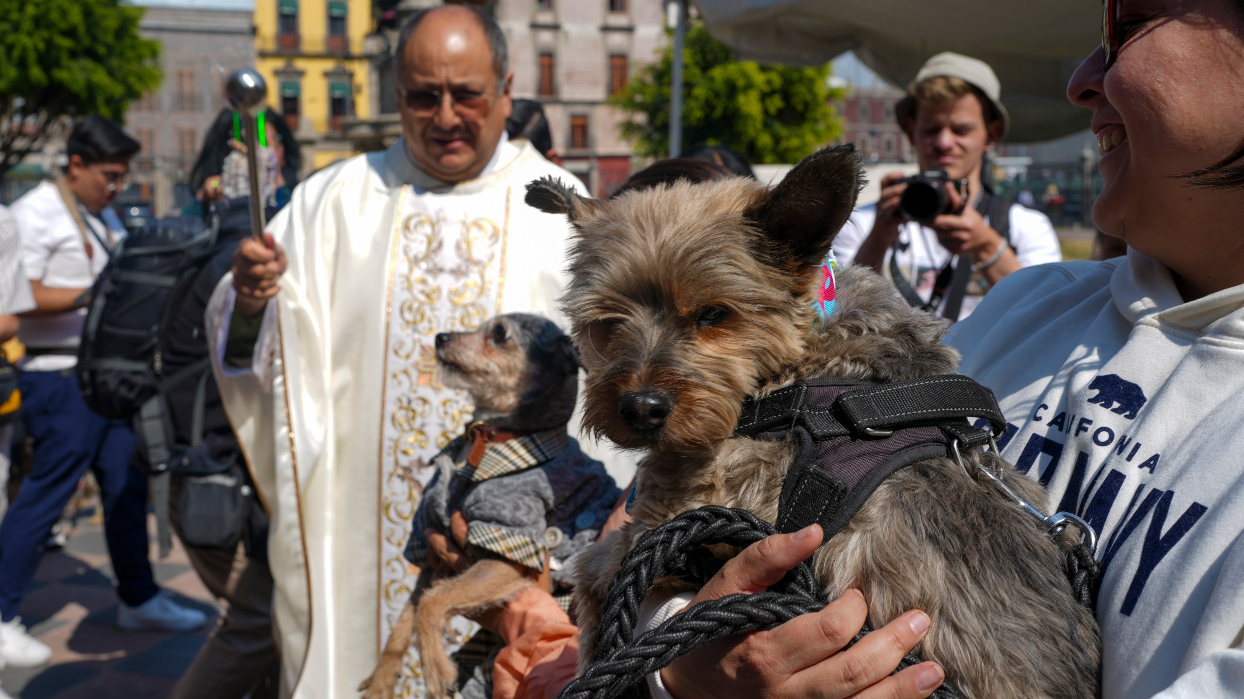 Rev. José Antonio Carballo, rector of the Metropolitan Cathedral, celebrates the annual blessing of the animals Mass at Mexico City's Metropolitan Cathedral, Friday, Jan. 17, 2025. (AP Photo/Marco Ugarte)