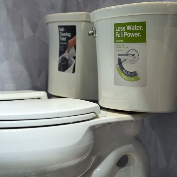 A toilet is displayed for sale that uses less water, Tuesday, Jan. 21, 2025, in Cincinnati. (AP Photo/Joshua A. Bickel)