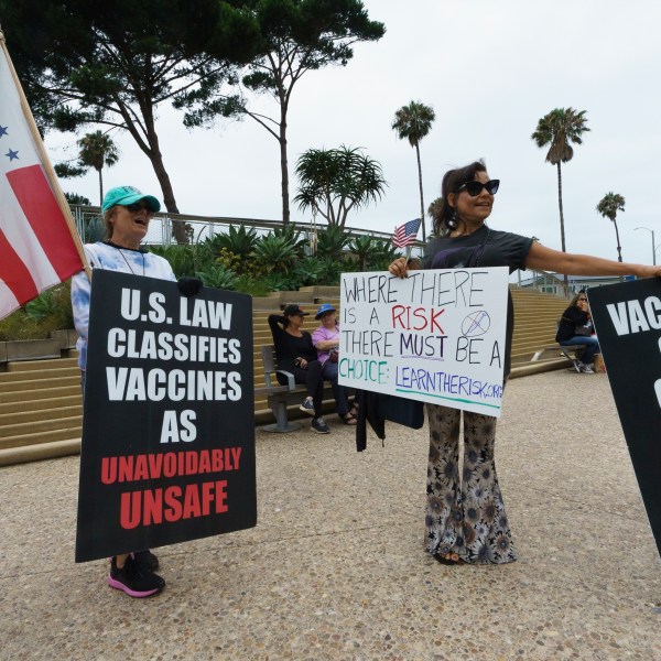 FILE - People hold signs against vaccine passports as they participate at the "S.O.S California No Vaccine Passport Rally" at Tongva Park in Santa Monica, Calif., Saturday, Aug. 21, 2021. (AP Photo/Damian Dovarganes, File)