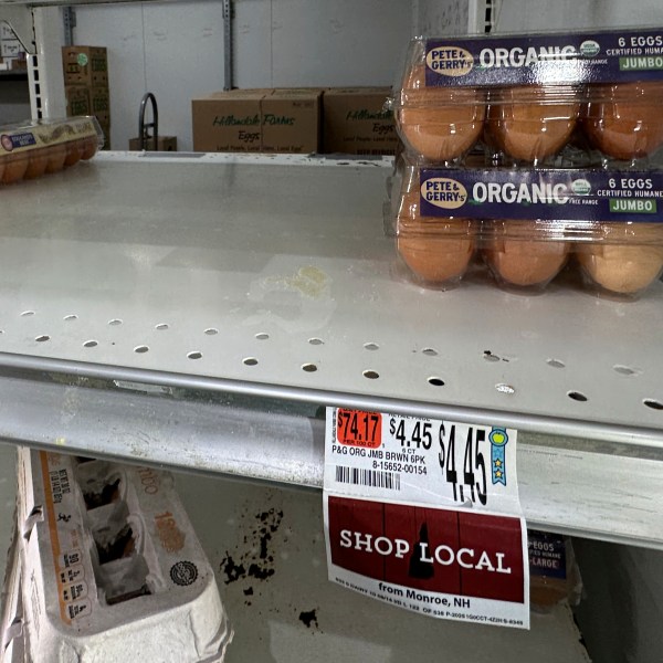 Eggs sit for sale on a shelf at grocery store, Monday, Jan. 27, 2025, in Windham, Maine. (AP Photo/Robert F. Bukaty)