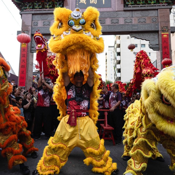 Dancers perform as lions during the Chinese New Year celebrations, marking the year of the snake, in Buenos Aires, Argentina, Saturday, Jan. 25, 2025. (AP Photo/Rodrigo Abd)