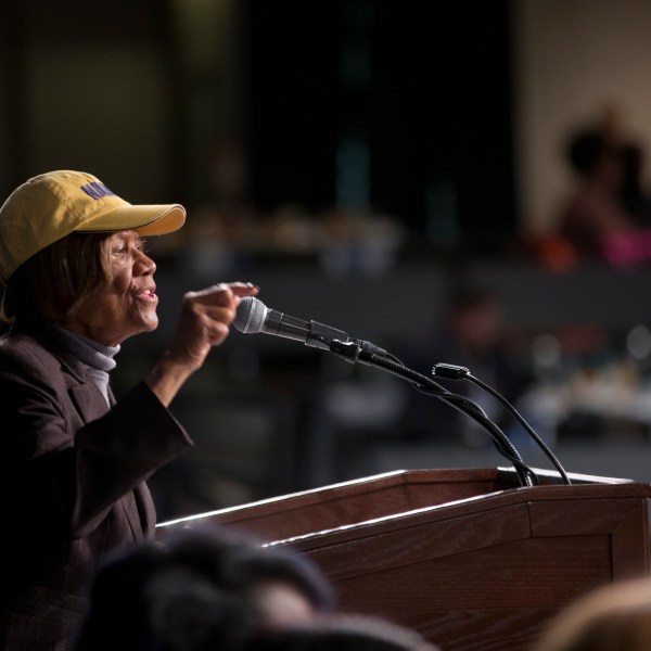 FILE - Hazel Dukes of the NAACP of New York speaks during a United Federation of Teachers luncheon at the Empire State Plaza Convention Center, March 4, 2015, in Albany, N.Y. (AP Photo/Mike Groll, File)