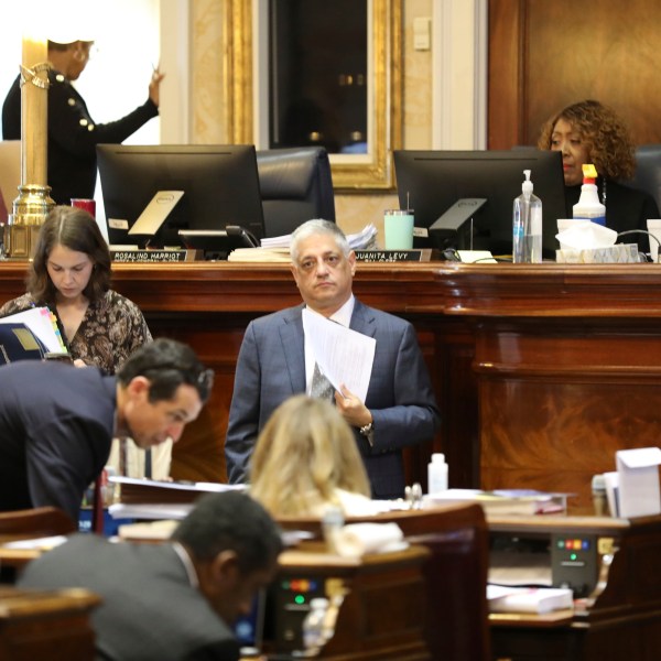 South Carolina Rep. Leon Stavrinakis, D-Charleston, waits to speak during the House budget debate on Tuesday, March 11, 2025, in Columbia, S.C. (AP Photo/Jeffrey Collins)